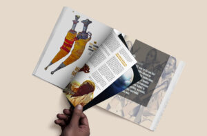 Biciid Magazine